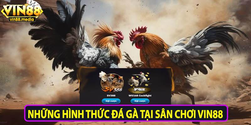 Những hình thức đá gà tại sân chơi Vin88